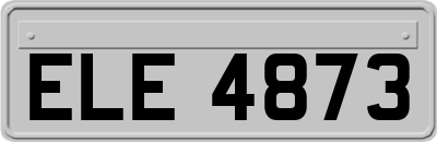 ELE4873
