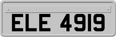 ELE4919