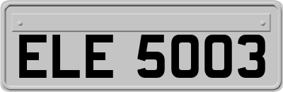 ELE5003