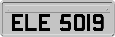 ELE5019