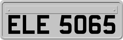 ELE5065