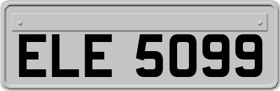 ELE5099