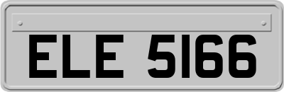 ELE5166
