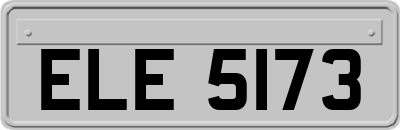 ELE5173