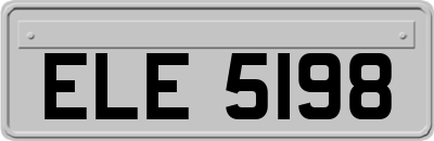 ELE5198