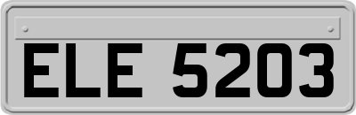 ELE5203