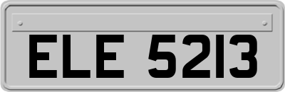 ELE5213