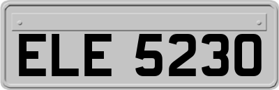 ELE5230
