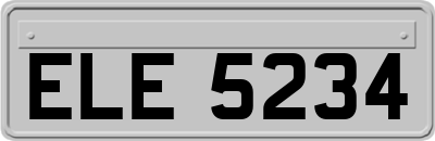 ELE5234