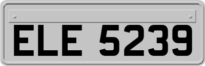 ELE5239