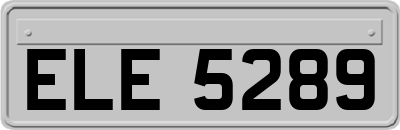 ELE5289