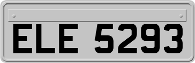 ELE5293