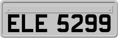 ELE5299