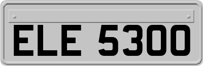 ELE5300