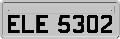 ELE5302