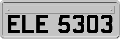 ELE5303