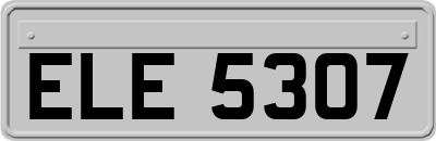 ELE5307