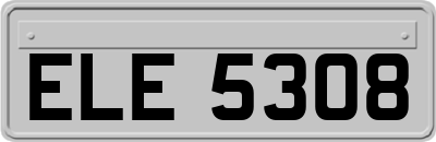 ELE5308