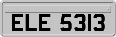 ELE5313