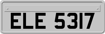 ELE5317