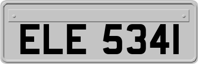 ELE5341