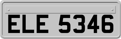 ELE5346