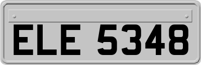 ELE5348