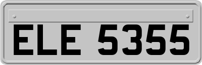 ELE5355