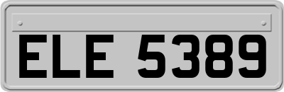 ELE5389