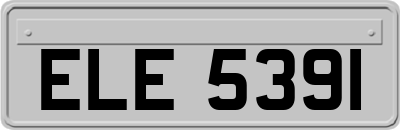 ELE5391