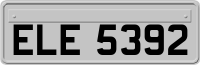 ELE5392