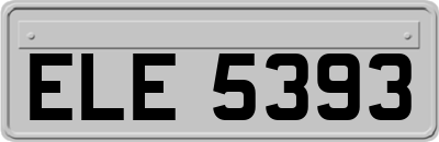 ELE5393