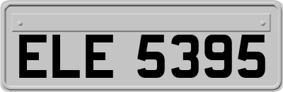 ELE5395