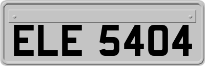 ELE5404