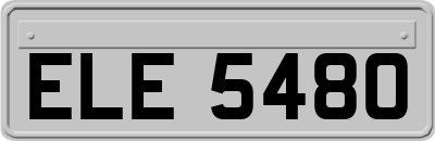 ELE5480