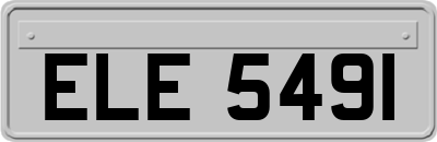 ELE5491