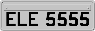 ELE5555