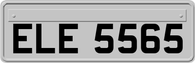 ELE5565
