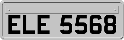 ELE5568