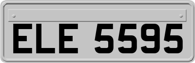 ELE5595