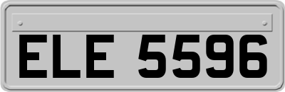 ELE5596