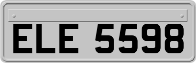 ELE5598