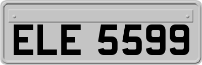 ELE5599