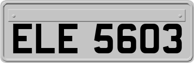 ELE5603