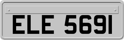 ELE5691