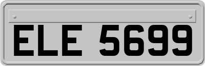 ELE5699