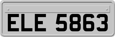 ELE5863