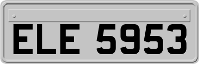 ELE5953