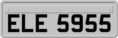 ELE5955