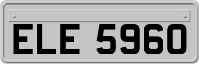 ELE5960